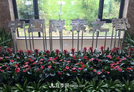 南召縣打造中國(guó)酵素之都 產(chǎn)品占全國(guó)市場(chǎng)三分之一(圖1)