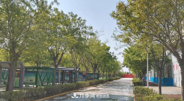 綠化苗木行業(yè)出現(xiàn)轉(zhuǎn)折時期(圖1)