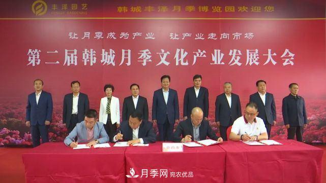 陜西韓城第二屆月季文化產(chǎn)業(yè)發(fā)展大會盛大開幕(圖1)