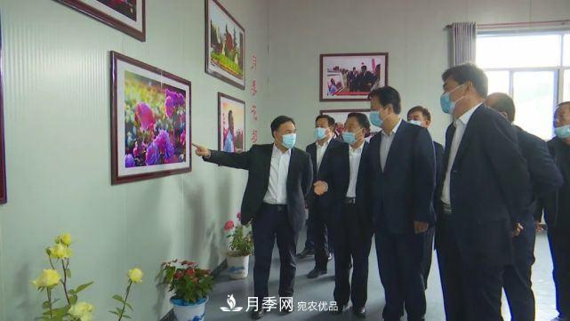 陜西韓城第二屆月季文化產(chǎn)業(yè)發(fā)展大會盛大開幕(圖3)