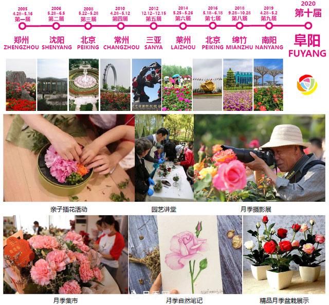 安徽阜陽(yáng)高效推進(jìn)第十屆中國(guó)月季展籌備工作(圖1)