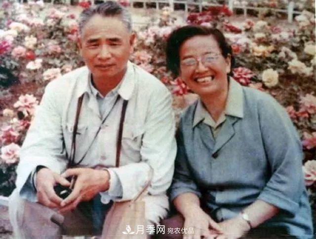 月季夫人蔣恩鈿，是她把月季花種到了人民大會堂(圖5)