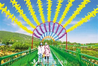 好一個(gè)美麗的中國月季之鄉(xiāng)--南陽中國月季園掠影(圖3)
