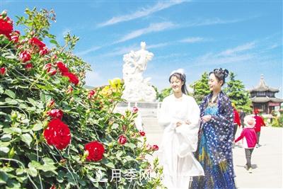 好一個(gè)美麗的中國月季之鄉(xiāng)--南陽中國月季園掠影(圖6)