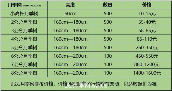 南陽樹狀月季價格差別這么大，樹狀月季的價格受什么因素影響？(圖2)