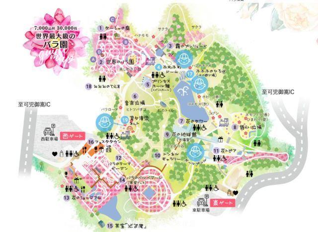 走進(jìn)世界***大月季園，近7000個(gè)品種，30000棵月季……(圖6)