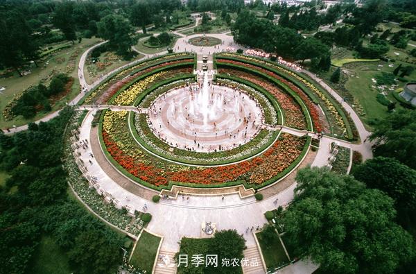 中國(guó)十大月季園盤(pán)點(diǎn)！賞月季不能錯(cuò)過(guò)(圖1)