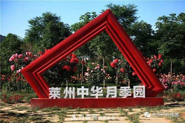 中國(guó)十大月季園盤(pán)點(diǎn)！賞月季不能錯(cuò)過(guò)(圖7)