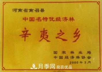 “中國辛夷之鄉(xiāng)”在哪里？河南省南召縣(圖1)