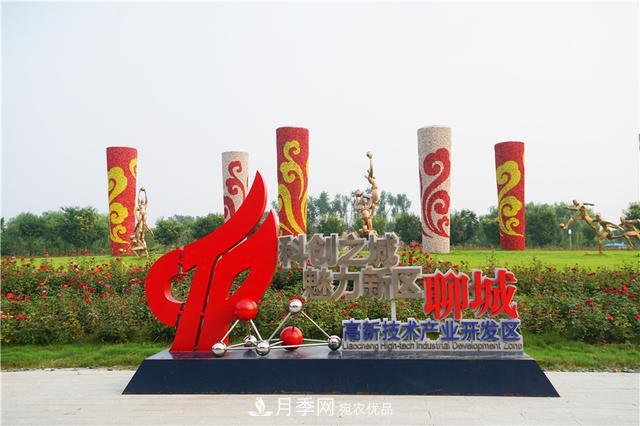 山東濟(jì)南的后花園，童話般月季花王國，300畝900個(gè)品種月季花盛放(圖3)