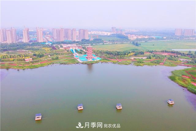 山東濟(jì)南的后花園，童話般月季花王國，300畝900個(gè)品種月季花盛放(圖9)