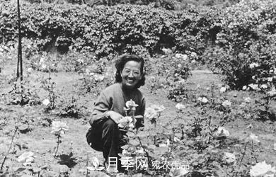 她潛心研究月季，帶領(lǐng)中國月季走向世界，被稱為“月季夫人”(圖4)