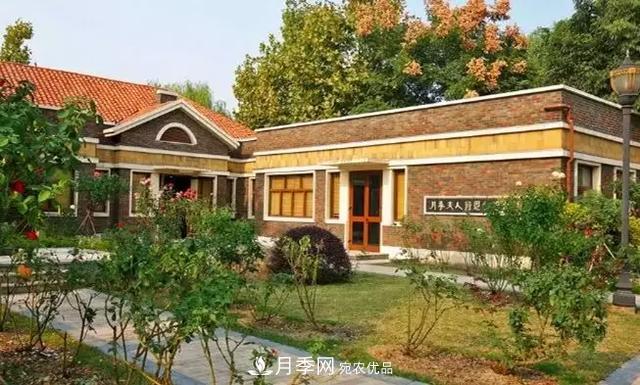 她潛心研究月季，帶領(lǐng)中國月季走向世界，被稱為“月季夫人”(圖3)