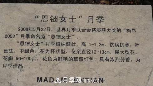 她潛心研究月季，帶領(lǐng)中國月季走向世界，被稱為“月季夫人”(圖9)