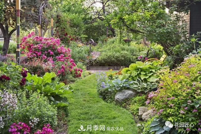 八月月季花卉養(yǎng)護(hù)，園丁的打理事宜(圖1)