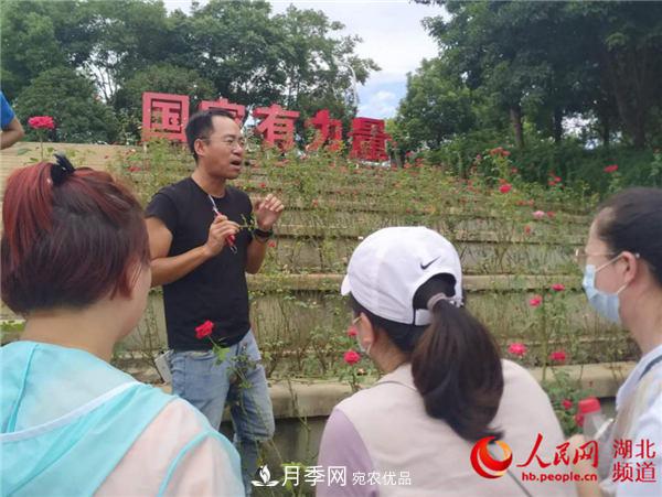 “月季專家”來(lái)武漢授課 助力月季攜手紫薇迎國(guó)慶(圖1)