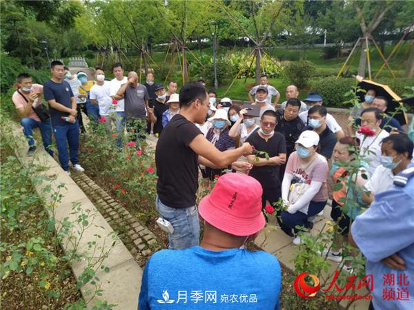 “月季專家”來(lái)武漢授課 助力月季攜手紫薇迎國(guó)慶(圖2)