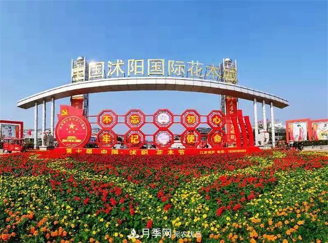這些中國著名苗木產(chǎn)地你知道幾個？值得收藏！(圖2)