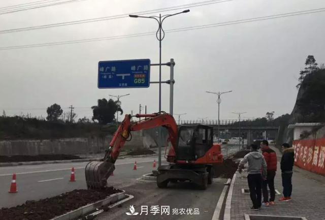 綠化工程苗木價格計算辦法(圖1) 綠化工程苗木價格計算辦法(圖1)