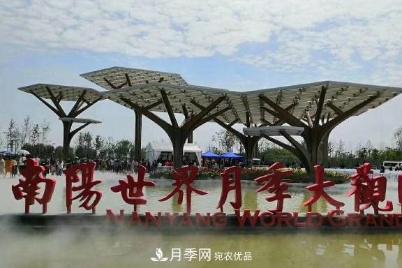 南陽(yáng)世界月季大觀園：只愛園中月季美，不羨他鄉(xiāng)百花艷(圖1)