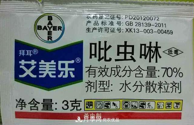 月季的常備藥品有哪些？收好了！(圖4)