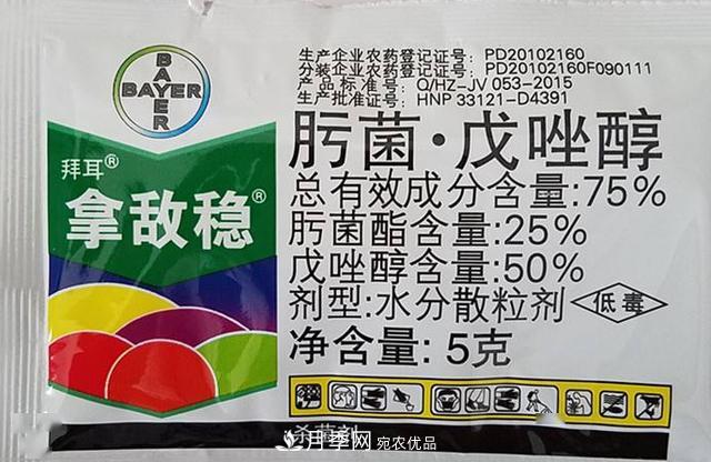 月季的常備藥品有哪些？收好了！(圖5)