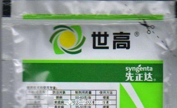 月季的常備藥品有哪些？收好了！(圖6)
