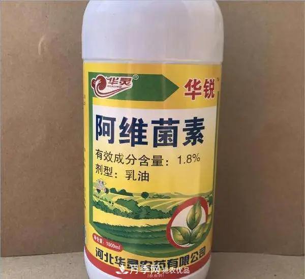月季的常備藥品有哪些？收好了！(圖9)