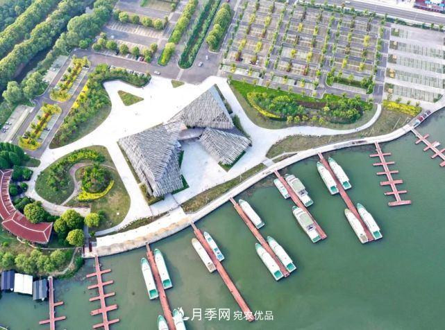 蘇洲金雞湖畔！大美月季花海！(圖21)