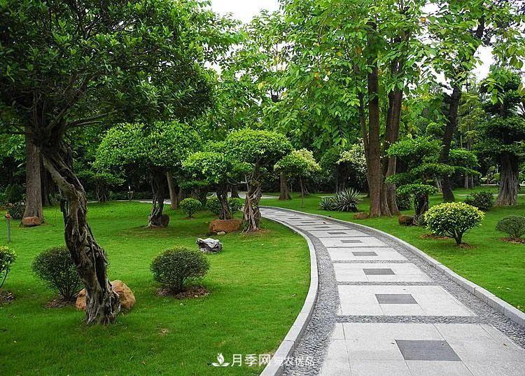 破解苗木行業(yè)需求的發(fā)展變化，弄懂才能賺錢?！(圖1)