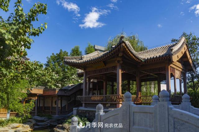 今夏到北京豐臺，看亭臺樓閣，賞各色月季(圖4)