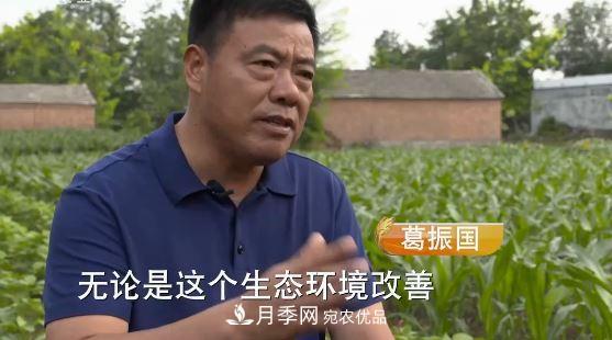 河南商丘男子種苗木，半年?duì)I業(yè)額達(dá)3000萬(圖3)