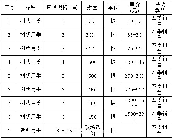 安徽樹狀月季的價(jià)格？樹狀月季各規(guī)格多少錢一棵？(圖4)