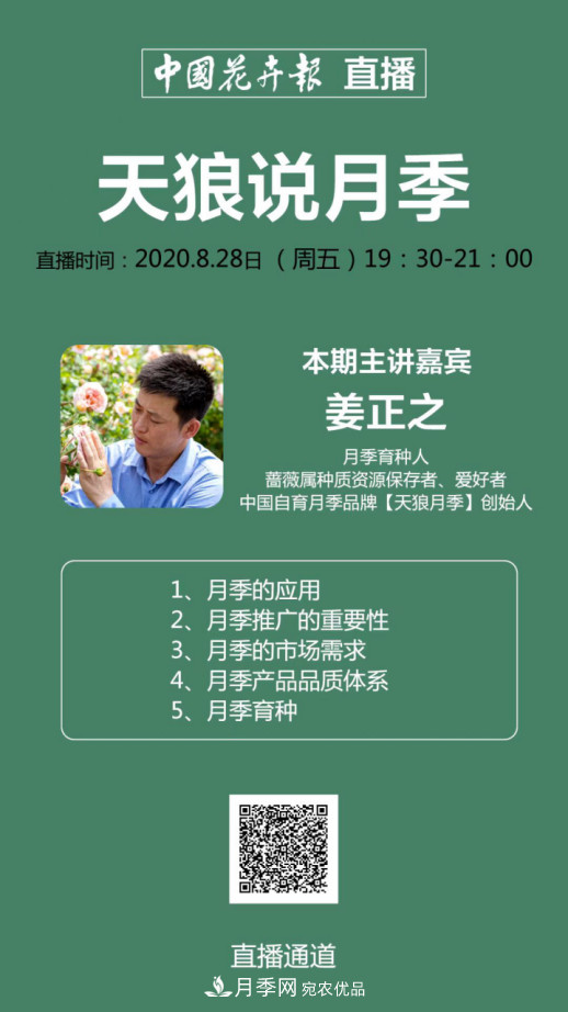 「直播預(yù)告」聽天狼細(xì)說月季的現(xiàn)在與未來(圖13)