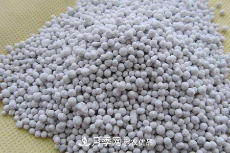 養(yǎng)護(hù)月季花施肥施什么肥料？(圖1)
