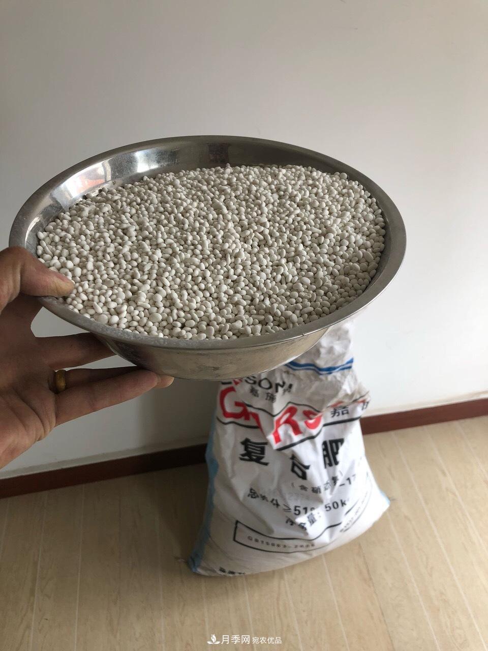 養(yǎng)月季花必備“3種肥”，每月花盆撒一點(diǎn)(圖2)