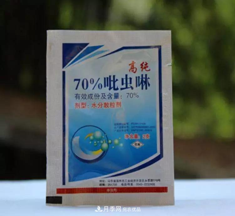 春天月季養(yǎng)護(hù)的“四句真言”，預(yù)防病蟲(chóng)害，不愁沒(méi)花看！(圖3)