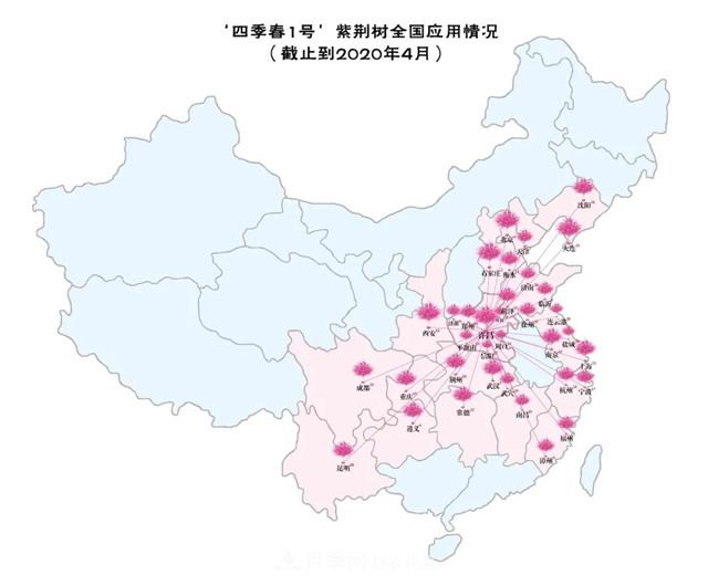 苗木產(chǎn)品的價(jià)格、價(jià)值和供需——三角關(guān)系之動(dòng)態(tài)平衡(圖6)