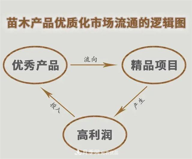 苗木產(chǎn)品的價(jià)格、價(jià)值和供需——三角關(guān)系之動(dòng)態(tài)平衡(圖5)