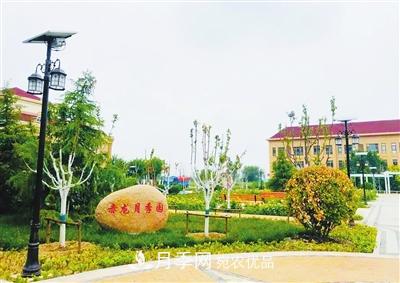 天津市西青區(qū)“赤龍月季園”建成開放(圖1)