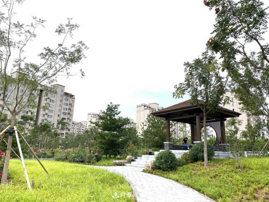 免費，景美，有兒童活動區(qū)！北京密云月季公園，你去了嗎！(圖3)