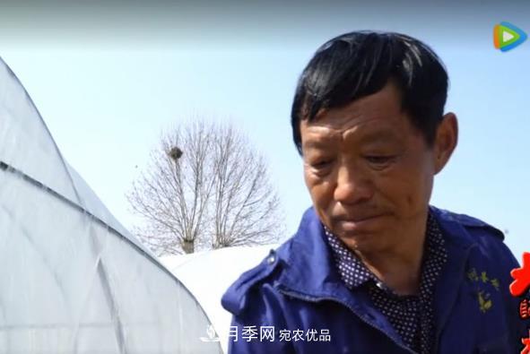 門外漢變成月季大師——南陽市世源實(shí)業(yè)有限公司技術(shù)總監(jiān)王懷青(圖1)