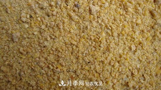 9月又到換盆時，盆里加點“特殊料”，怎么養(yǎng)都爆盆(圖2)