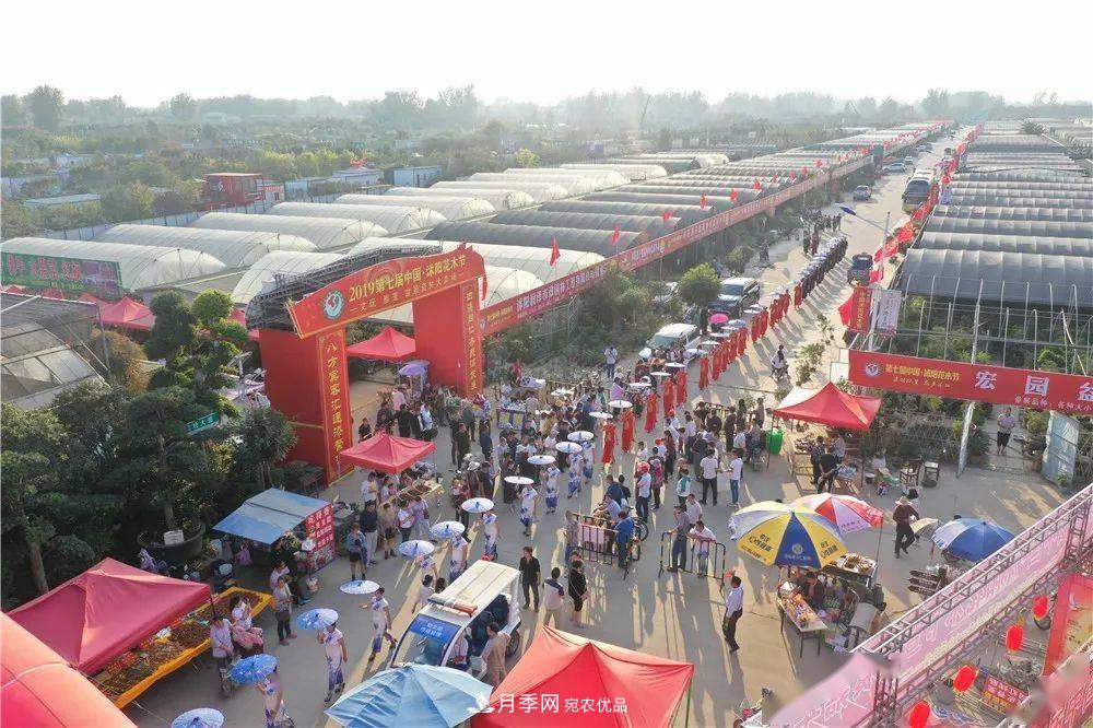 花木盛會，2020第八屆中國?沭陽花木節(jié)將于9月29日開幕！誠邀您大駕光臨！(圖13)