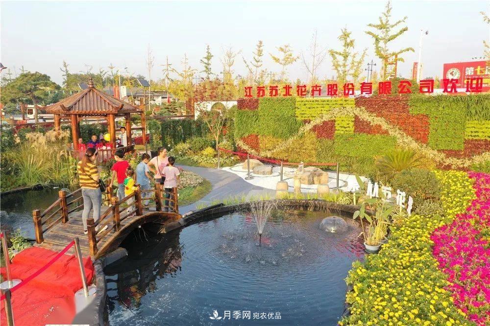 花木盛會，2020第八屆中國?沭陽花木節(jié)將于9月29日開幕！誠邀您大駕光臨！(圖14)