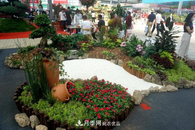 焦“綠”的苗木人，在山東昌邑園林花木會展上收獲了什么(圖1)