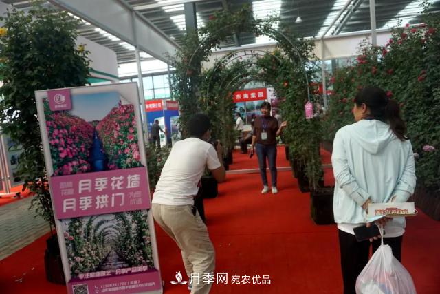 焦“綠”的苗木人，在山東昌邑園林花木會展上收獲了什么(圖3)