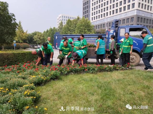 美！6萬(wàn)盆景觀花卉扮靚鄭州鞏義城區(qū)(圖2)
