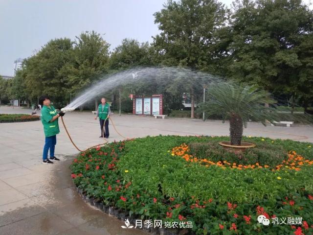 美！6萬(wàn)盆景觀花卉扮靚鄭州鞏義城區(qū)(圖5)