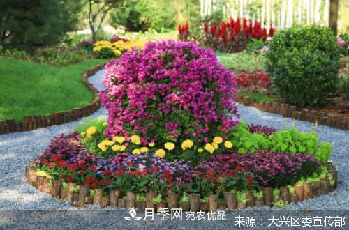 2020年北京市“職工技協(xié)杯”市花月季主題花園網(wǎng)絡設計大賽及造園大賽收官(圖1)